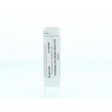 Hypericum perforatum 12CH van Homeoden Heel