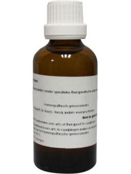 Zincum valerianicum D30 van Homeoden Heel