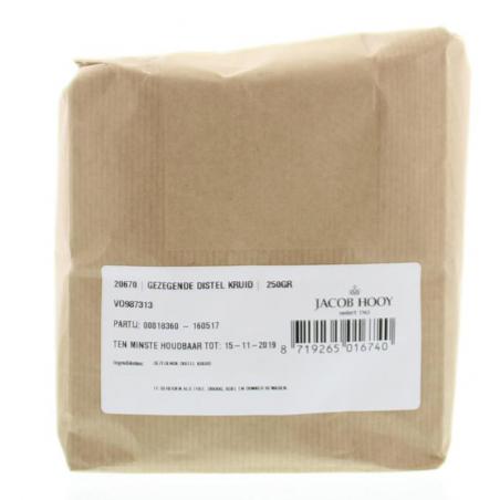 Gezegende distel van Jacob Hooy