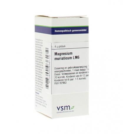 Magnesium muriaticum LM6 van VSM
