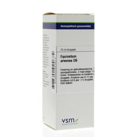 Equisetum arvense D6 van VSM