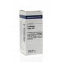 Sambucus nigra D30 van VSM