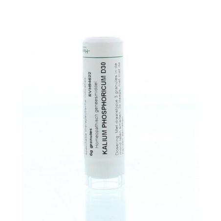 Kalium phosphoricum D30 van Homeoden Heel
