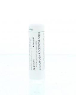 Plantago major D6 van Homeoden Heel