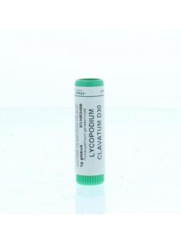 Apis mellifica D6 van Homeoden Heel