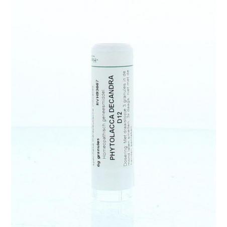 Phytolacca decandra D12 van Homeoden Heel