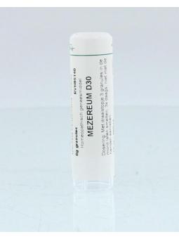 Hypericum perforatum D6 van Homeoden Heel