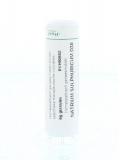 Natrium sulphuricum D30 van Homeoden Heel