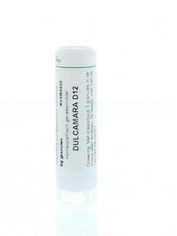 Rumex crispus D12 van Homeoden Heel