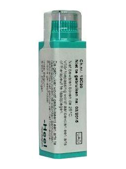 Sarsaparilla officinalis D6 van Homeoden Heel