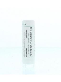 Aconitum napellus D30 van Homeoden Heel