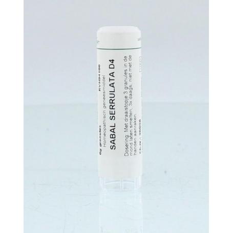 Sabal serrulata D4 van Homeoden Heel