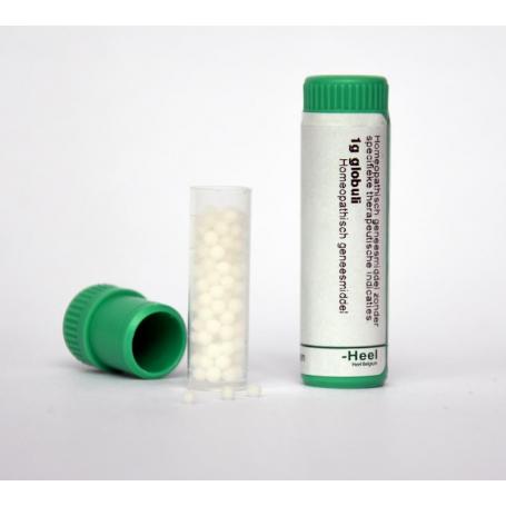 Galium aparine 200k van Homeoden Heel