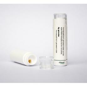 Ginkgo biloba D30 van Homeoden Heel