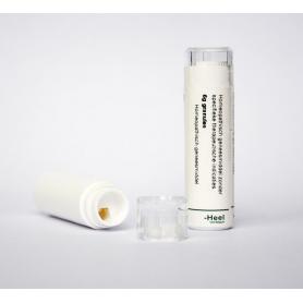 Causticum D6 van Homeoden Heel