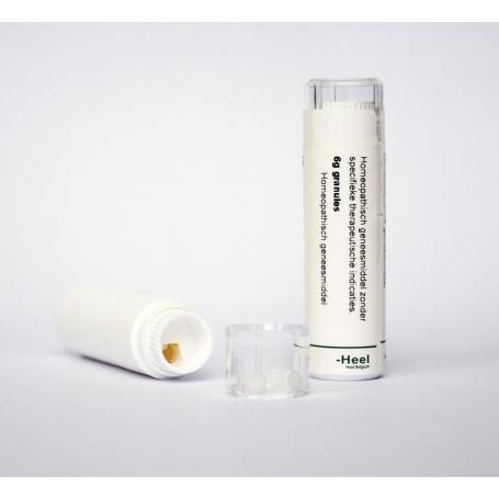 Histaminum 7ch van Homeoden Heel