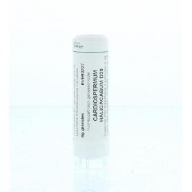 Magnesium muriaticum D6 van Homeoden Heel