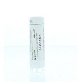 Thuja occidentalis D30 van Homeoden Heel