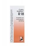 Cysto gastreu R18 van Reckeweg