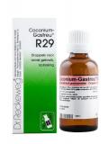 Coconium gastreu R29 van Reckeweg