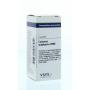 Calcarea sulphurica 200K van VSM