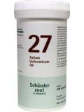 Kalium bichromicum 27 D6 Schussler van Pfluger