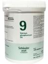 Natrium phosphoricum 9 D6 Schussler van Pfluger