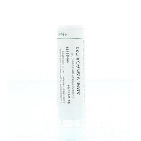 Ammi visnaga d30 van Homeoden Heel