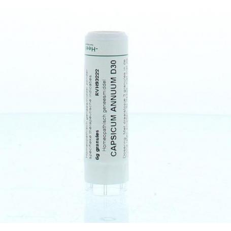 Capsicum annuum D30 van Homeoden Heel