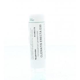 Salvia officinalis 200K van Homeoden Heel