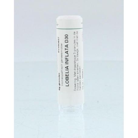 Lobelia inflata D30 van Homeoden Heel