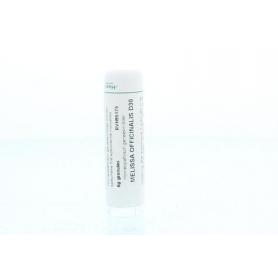 Rhus toxicodendron D12 van Homeoden Heel