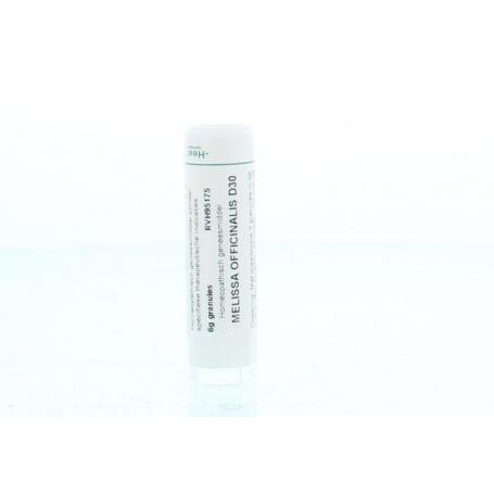 Melissa officinalis D30 van Homeoden Heel