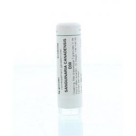 Ignatia amara D6 van Homeoden Heel