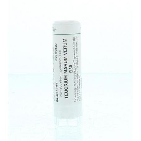 Teucrium marum verum D30 van Homeoden Heel