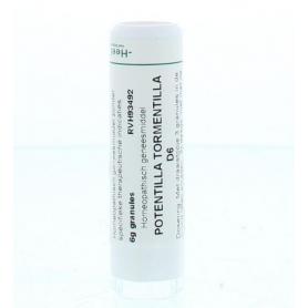 Belladonna D6 van Homeoden Heel