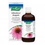 A Vogel Echinaforce druppels (100ml) van A Vogel