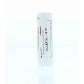 Apis mellifica D6 van Homeoden Heel