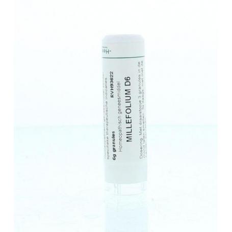 Millefolium D6 van Homeoden Heel