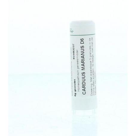Carduus marianus D6 van Homeoden Heel