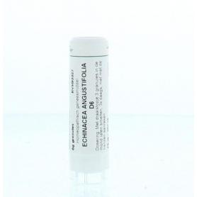 Ginkgo biloba D30 van Homeoden Heel