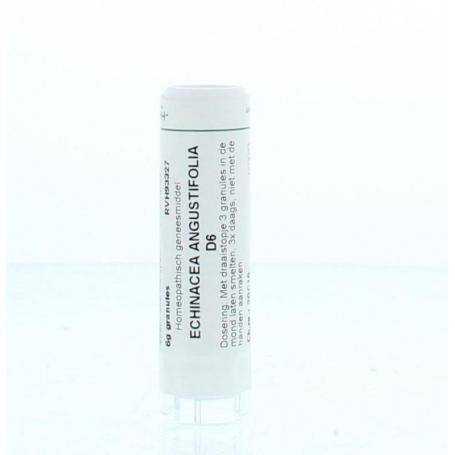 Echinacea angustifolia D6 van Homeoden Heel