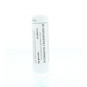 Thuja occidentalis D30 van Homeoden Heel