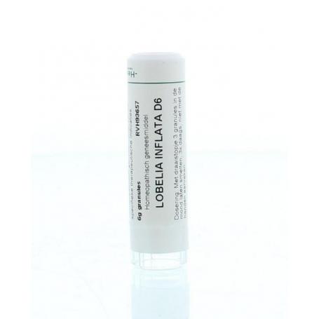 Lobelia inflata D6 van Homeoden Heel