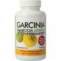 Garcinia cambogia 60% HCA vetverbrander van Natusor