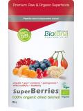 Superberries organic dried berries bio van Biotona