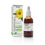 Turnera diffusa XXI extract van Soria Natural