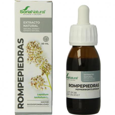 Lepidium latifolium XXI van Soria Natural