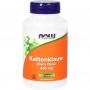 NOW Kattenklauw 500mg (100 capsules) van NOW