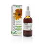 Calendula officinalis XXI van Soria Natural